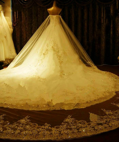 Lace Beaded Ball Gown Wedding Dress